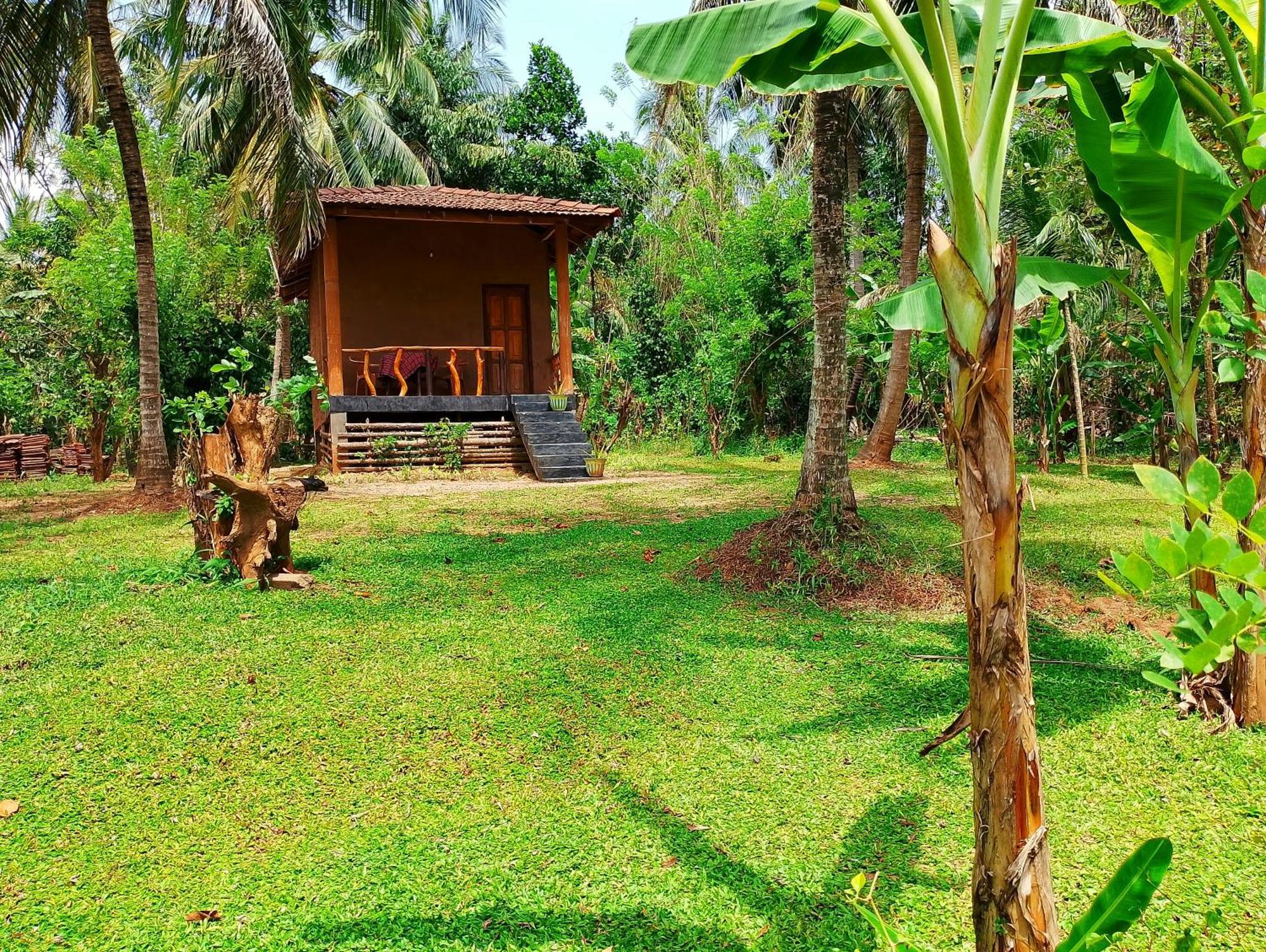 אודוואלאווה Milk House Cottage מראה חיצוני תמונה